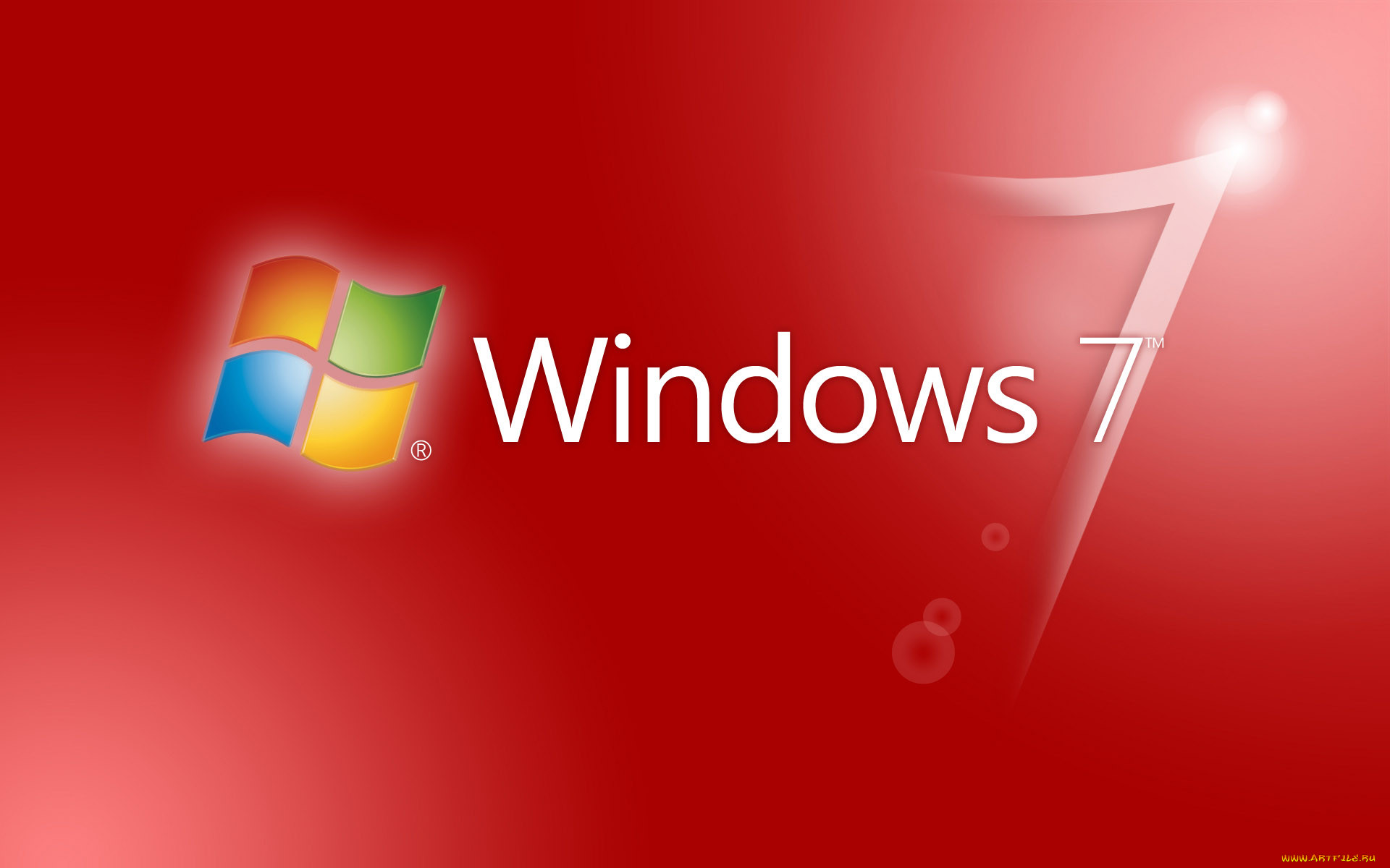 , windows, vienna, , 